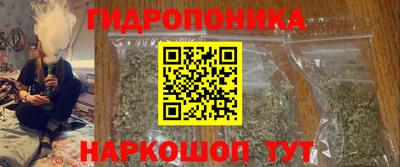 гашик Кунгур